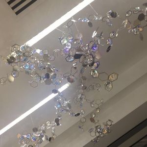 Meet your Posher, Riley